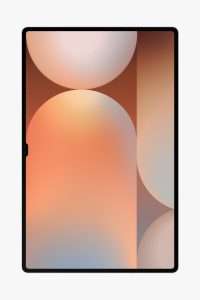 Galaxy Tab S10 Ultra 5G Platinum Silver 256GB\12GB